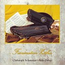 Christoph Schwarzer - Romanze in D Dur
