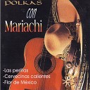 Polkas Con Mariachi - Oficiales Parranderos