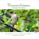 Pure Nature Sounds - Concert matinal des oiseaux Morning concert of…