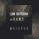Liam Baygorria feat D A M S - Whisper