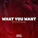 GROUNDER - What You Want Original Mix