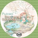 Puicea - Briz Original Mix