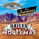Armadillos Del Norte - Ni Me Debes Ni Te Debo