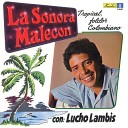 La Sonora Malec n feat Lucho Lambis - Donde Estas