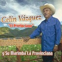 Cel n V zquez Y Su Marimba La Provinciana - Las Mujeres y las Flores