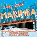 Marimba Flor De Playas - Caballo Viejo
