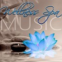 Massage Spa Academy - Celestial Oasis