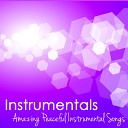 Instrumental Music Academy - Ambient Anti Stress