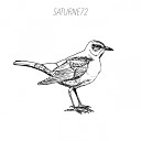 Saturne72 - Lunacy Original Mix