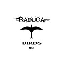 RADUGA - Birds Original Mix