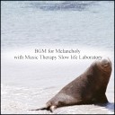 Music Therapy Slow Life Laboratory - Resonance Mental Stability Original Mix