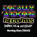 Skindogg Instigate - Morning Glory Original Mix