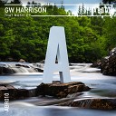 GW Harrison - That Music Radio Edit