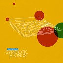 Symbiotic Sounds - Summer Wind Original Mix