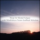 Mindfulness Neuro Feedback Selection - Streamlined Contingency Map Original Mix