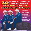 Tr o Armon a Huasteca - Las Dos Huastecas