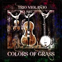 Trio Violanjo feat Manuel Stocks Tanja… - Colors Of Grass