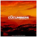 Cucumbers - Take Care Of Love Max Lyazgin Remix