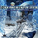 Sharigrama - Psychedelic Experience Original Mix