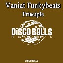 Vaniat Funkybeats - Principle Original Mix