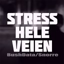 Bush Data feat Snorre - Stress Hele Veien