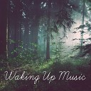 Magic Music Ensemble - Calming Alarm