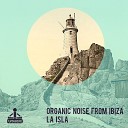 Organic Noise From Ibiza - Sharks in Your Pool