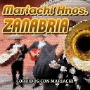 Mariachi Hermanos Zanabria - Gabino Barrera