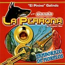 El Pinino Galindo y Su Banda la Perrona de Ticum n… - Gabino Barrera