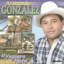 Armando Gonzalez - Tu Eres La nica Culpable
