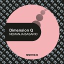 Nemanja Basaric - Dimension Q