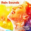 Rain Sounds High Quality Nature Sounds Rain… - Asmr Rain for Anxiety