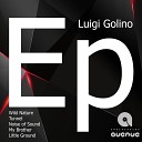 Luigi Golino - Little Ground Original Mix
