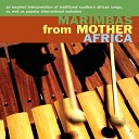 Marimbas from Mother Africa - Any Dream Will Do