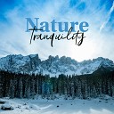 Natural Healing Music Zone - Fill You with Peace