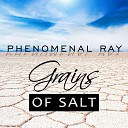 Phenomenal Ray - Pictures Of A Chance