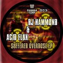 DJ Hammond - The Woman in the Red Dress Original Mix