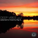 BiG AL - Deep Vibes Vol 2 Selected Mixed by BIG AL Continuous DJ…