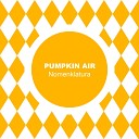 Pumpkin Air - Nomenklatura