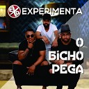 Experimenta - O Bicho Pega