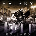 The Real Brisky - Bollard