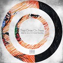 Jeremy Juno Daniel Beasley - They Grow On Trees Original Mix