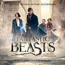 Fantastic Beasts And Where To Find Them - Inside The Case 9