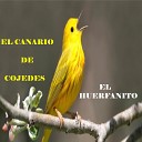 El Canario De Cojedes - Por La Corriente del Rio