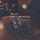 Dark Dark Horse - Sea of Tranquility Live