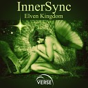 InnerSync - Synergy Original Mix
