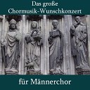 Chor und Orchester Harry Pleva - Es blies ein J ger wohl in sein Horn