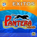 Pantera Show - El Mujeriego
