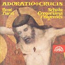 Schola Gregoriana Pragensis Pavel Hor k Boni… - Devotion of the Cross VII Crux fidelis Hymnus