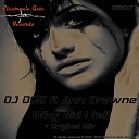 DJ DOS feat Ann Browne - Why Did I Fall Original Mix